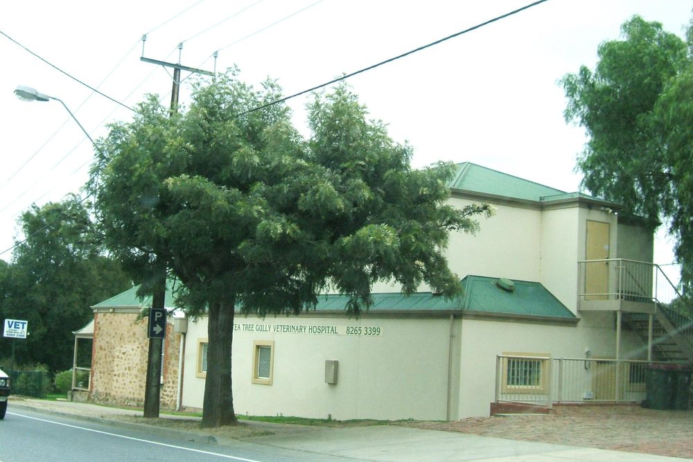 Tea Tree Gully, Adelaide - Cosy Blinds & Curtains service area